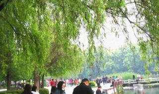 株洲什么时候解封 株洲什么时候解封